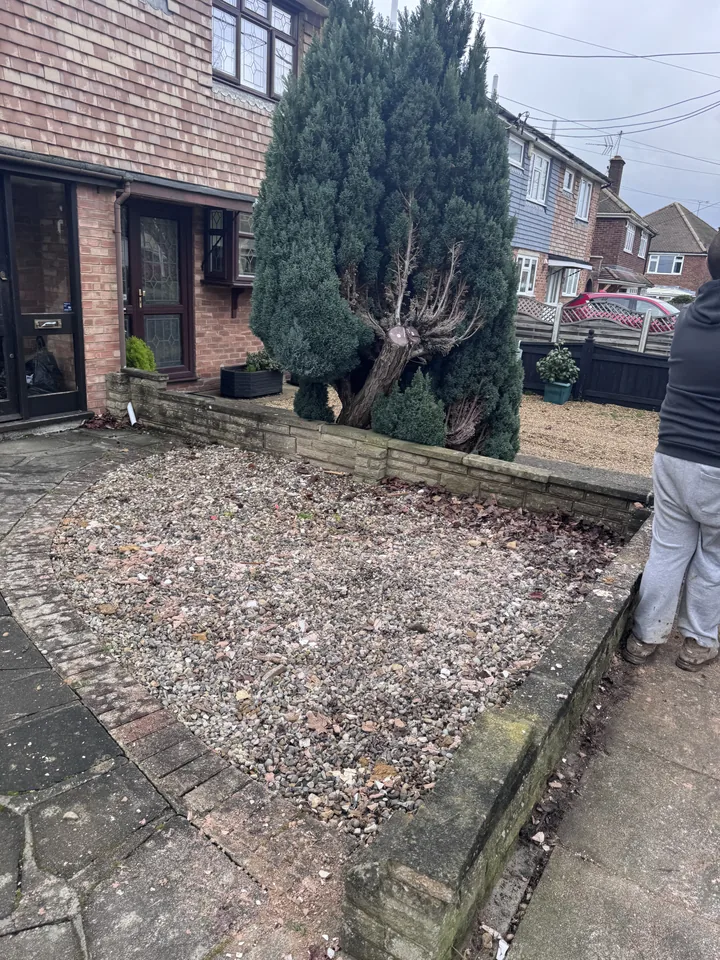 Garden area after timber and waste clearance