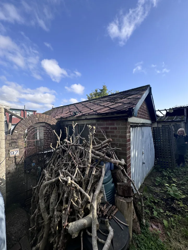 Old corrugated roof on a garden outbuilding