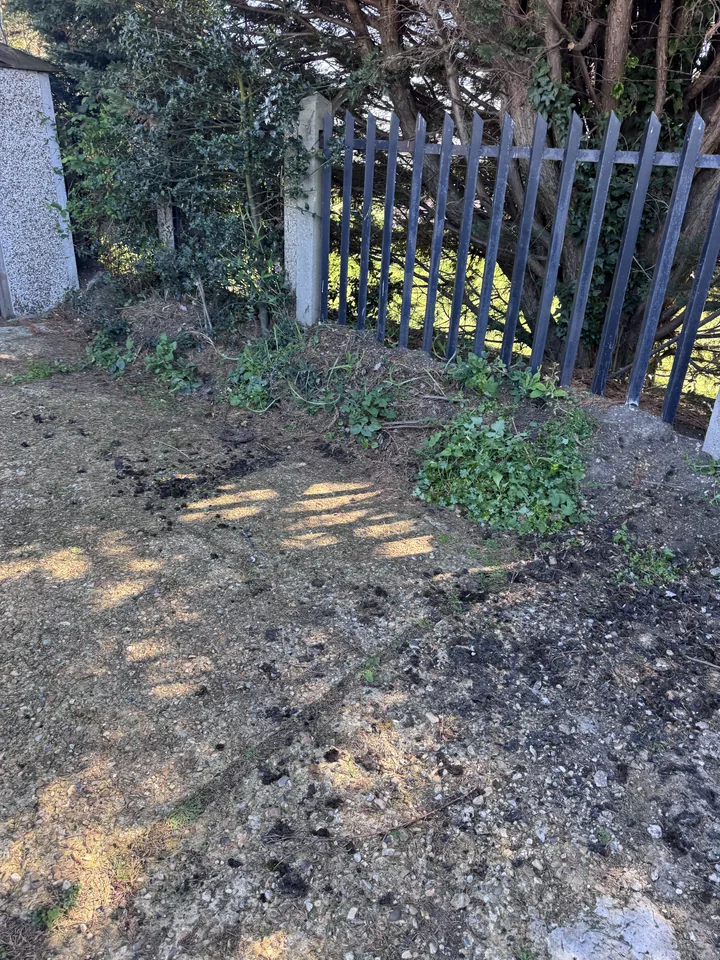 Area cleared after roof sheet collection