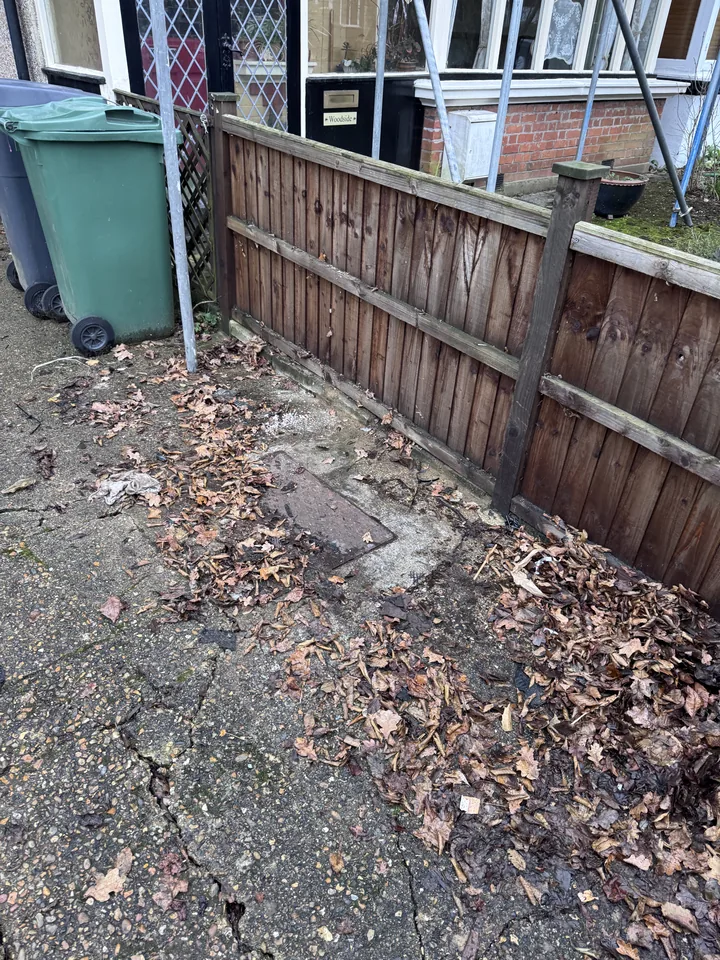 Cleared path beside the building
